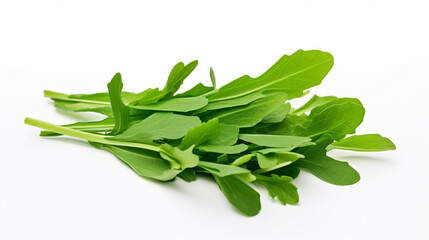 Green arugula on a white background