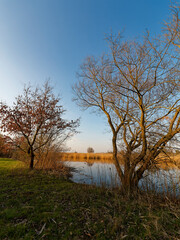 Großer Wörthsee und Sichelsee im Naturschutzgebiet Mainaue bei Augsfeld, Stadt Haßfurt, Landkreis Hassberge, Unterfranken, Franken, Bayern, Deutschland