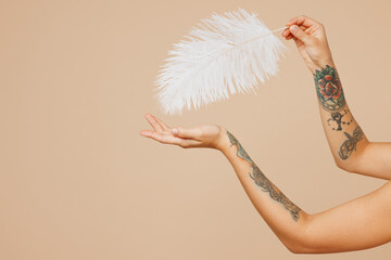 Close up cropped female holding in tattooed hand feather isolated on pastel plain light beige wall...
