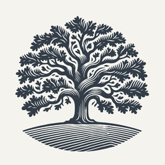 Oak tree. Vintage woodcut engraving style vector illustration. - obrazy, fototapety, plakaty