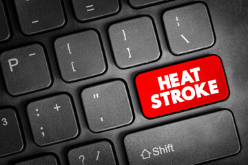 Heat stroke - the most serious heat-related illness, occurs when the body becomes unable to control...