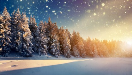 Schneebedeckte Landschaft mit Abendsonne