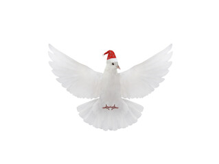 Free flying white dove wearing santa hat on white background