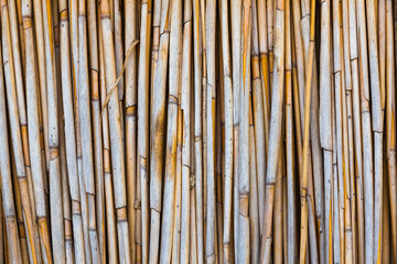 Dry reed fence. Background from dry reed sticks. - obrazy, fototapety, plakaty