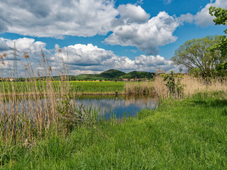 Der Lautensee im Naturschutzgebiet Mainaue bei Augsfeld, Stadt Haßfurt, Landkreis Hassberge, Unterfranken, Franken, Bayern, Deutschland