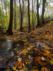 Naturschutzgebiet Spitalgrund-Oberes Volkachtal bei Prüssberg im Naturpark  Steigerwald, Gemeinde Michelau, Landkreis Schweinfurt, Unterfranken, Franken, Bayern, Deutschland