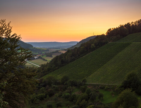 Weinberge bei Ramsthal im Abendlicht, Landkreis Bad Kissingen, Franken, Unterfranken, Bayern, Deutschland
