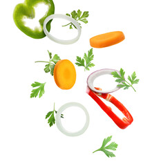 Fresh parsley, bell pepper, onion and carrot flying on white background