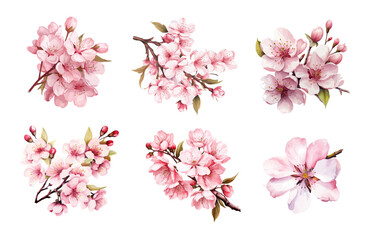 Cherry blossom invitation card design template. Watercolor cherry blossom invitation. © Rimsky