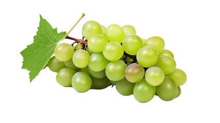 Obraz premium Grapes Isolated
