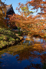 日本庭園に映る紅葉