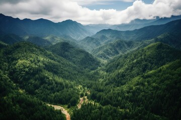 Aerial Drone Photograph of Picturesque Beautiful Landscape, Pine Tree Boreal Forest Scenery