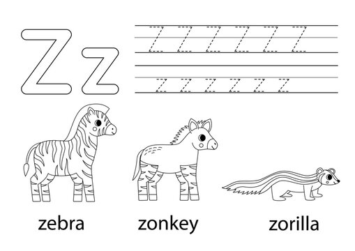 Trace uppercase and lowercase letter Z. Animal alphabet for kids.