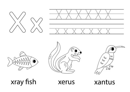 Trace uppercase and lowercase letter X. Animal alphabet for kids.