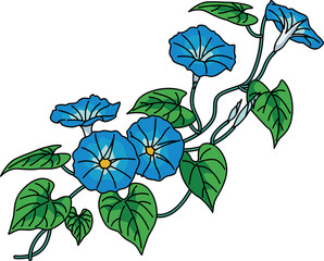 紫陽花（hydrangea）(PNG)