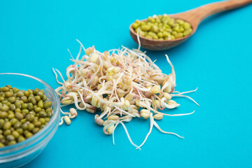 Mung Bean sprouts on the blue paper background and in wooden spoon