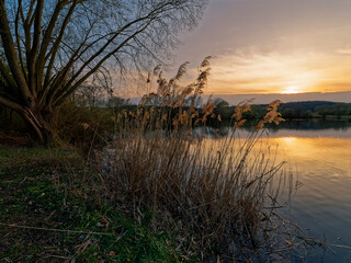 Großer Wörthsee und Sichelsee im Naturschutzgebiet Mainaue bei Augsfeld, Stadt Haßfurt, Landkreis Hassberge, Unterfranken, Franken, Bayern, Deutschland