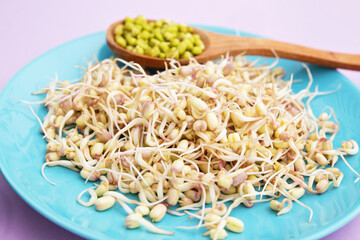 Vigna radiata or Mung Bean sprouts on the blue plate