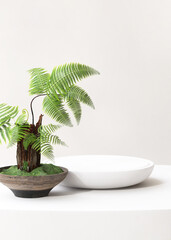 White round pedestal podium tray on counter, green fern tree in pot on book in sunlight for luxury cosmetic, skincare, beauty, body care, fashion product display background 3D