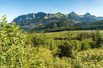 Belianske Tatry from Javorova dolina valley in High Tatras mountains in Slovakia © honza28683