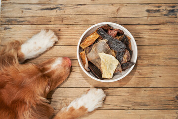Two furry dog paws and a bowl of treats on a rustic wooden surface show a moment of anticipation....