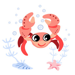 Cute sea crab with bubbles, starfish and seaweed underwater. Vector illustration of marine life character