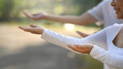 Elderly senior people practicing Tai chi class in the summer park. Mental health and wellbeing concept