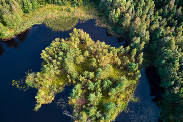 Green island overgrown with trees on a small peat lake, picturesque aerial view