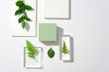 Ferns and green leaves are displayed on transparent glass platforms, a pastel green platform is centered on a white background. Ideal space for display.