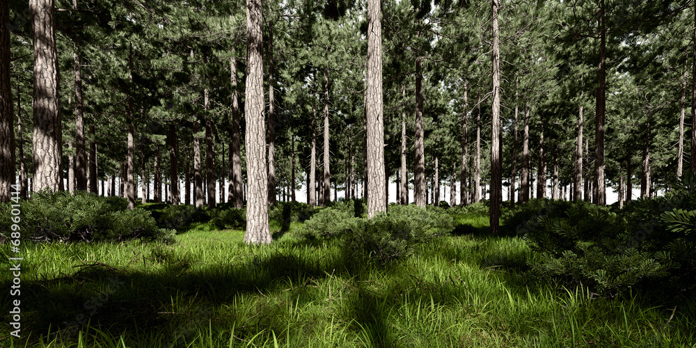 Poster forest with meadow. 3d rendering of landscaped background.
