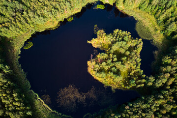 A colorful view from a high altitude of a forest lake with an island resembling an eye
