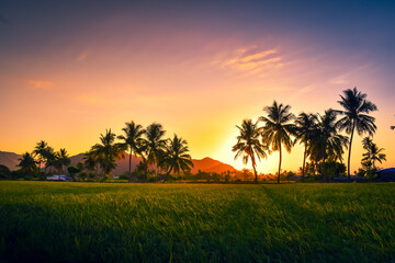 Witness the breathtaking beauty of the sun as it sets behind a mesmerizing row of palm trees in a...