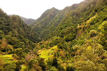 Obraz premium the landscape of madeira island
