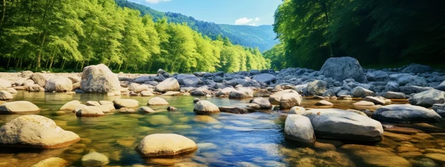 Tuinposter closeup nature pebble stone in water river nature background freshness scenery water scape topview of shallow water river daylight © VERTEX SPACE