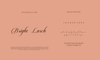 signature Font Calligraphy Logotype Script Brush Font Type Font lettering handwritten
