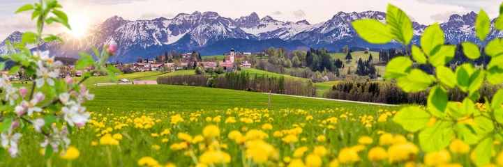 Fotobehang panoramic landscape and nature with alps mountain range in Bavaria, Germany © Wolfilser