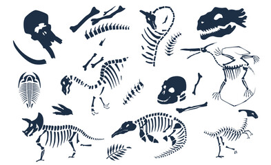 Dinosaurs bones, skeletons and skulls fossils set © Siberian Art