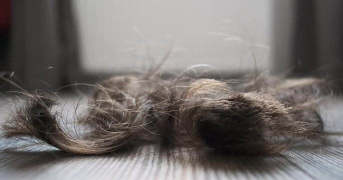 Hair cutting, wisps of hair falling on floor, close-up, side view, indoors. Concept of hair salon, cut long hair, remove interfering.