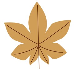 illustration of a leaf, spring leaves, autumn leaves, autumn leaves, maple leaves