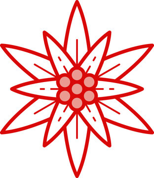 Edelweis flower icon