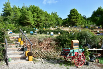 bee colony and beekeeping on island Lefkada in Greece