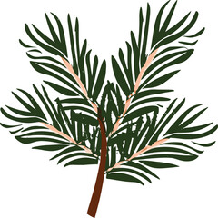 Spruce pine branches isolated, Twig pine with cone on a white background, collection of pine branches flowers isolated on a transparent background, generative ai