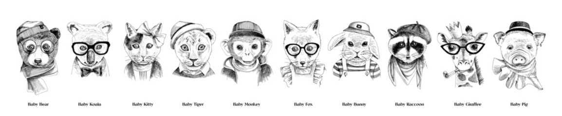 Baby hipster animals vector collection