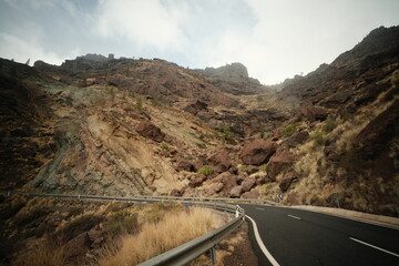 nature near the road in the mountains