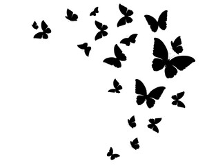 butterflies silhouettes set