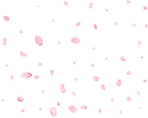 Fototapeta na wymiar Pink Spring realistic sakura petals.