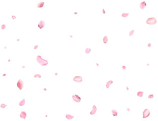 Pink Spring realistic sakura petals. © Elena