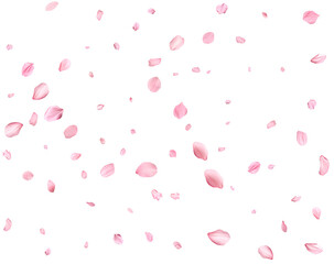 Pink Spring realistic cherry petals.