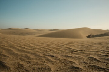 Fototapeta na wymiar gran canaria desert view