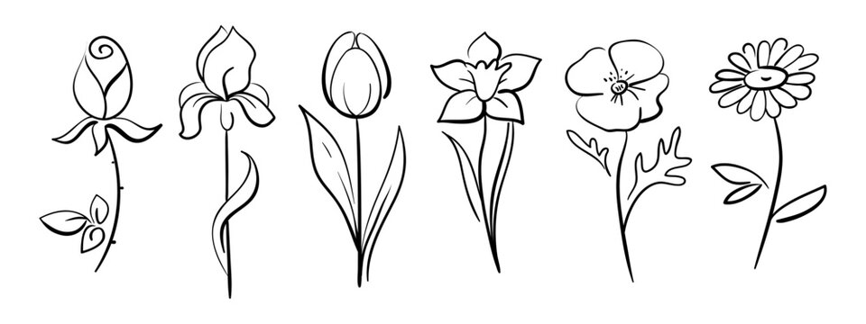 Hand drawn sketch wildflowers set. Vector illustration of medical herbs and flowers. Line art.